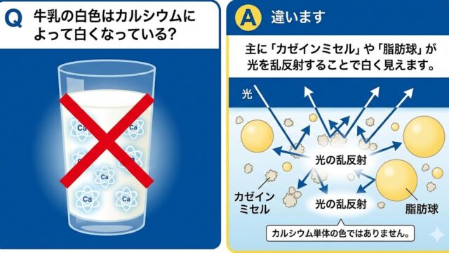 牛乳の白色はカルシウムによって白くなっている？
