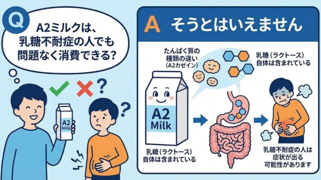 「A2ミルク」は特別な乳糖を含んでいるため、牛乳を飲むとお腹がゴロゴロする人（乳糖不耐症）におすすめ？